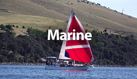 Marine