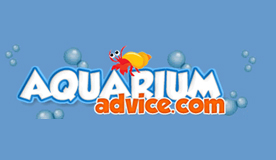 logo_aa